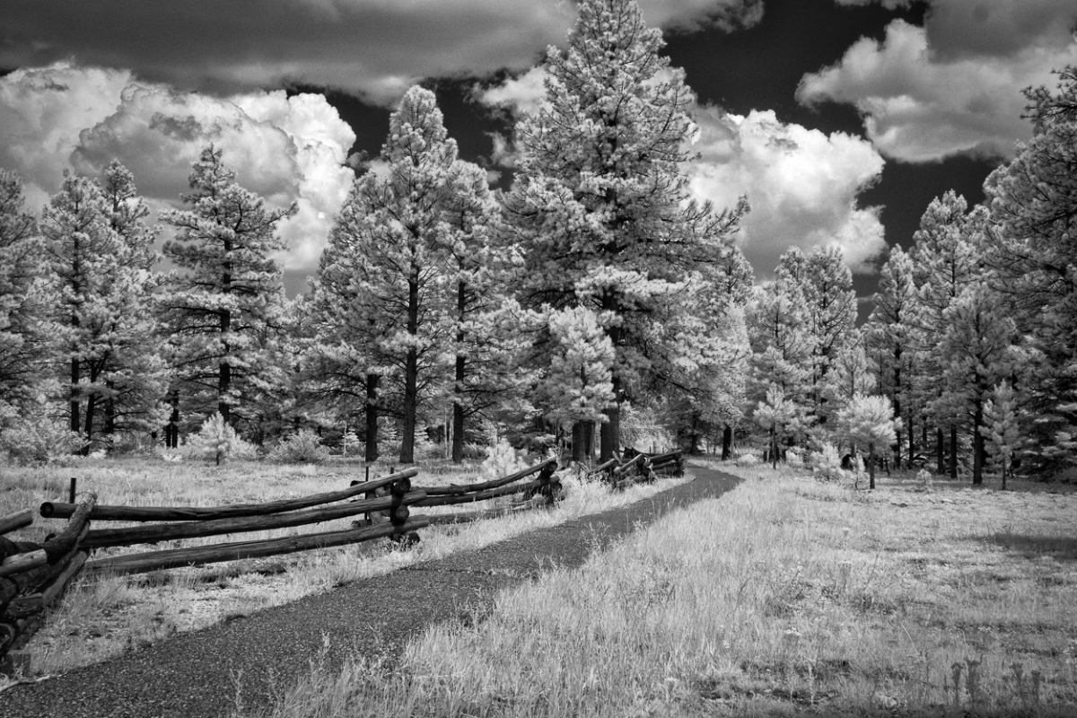 North Rim, Grand Canyon National Park, AZ