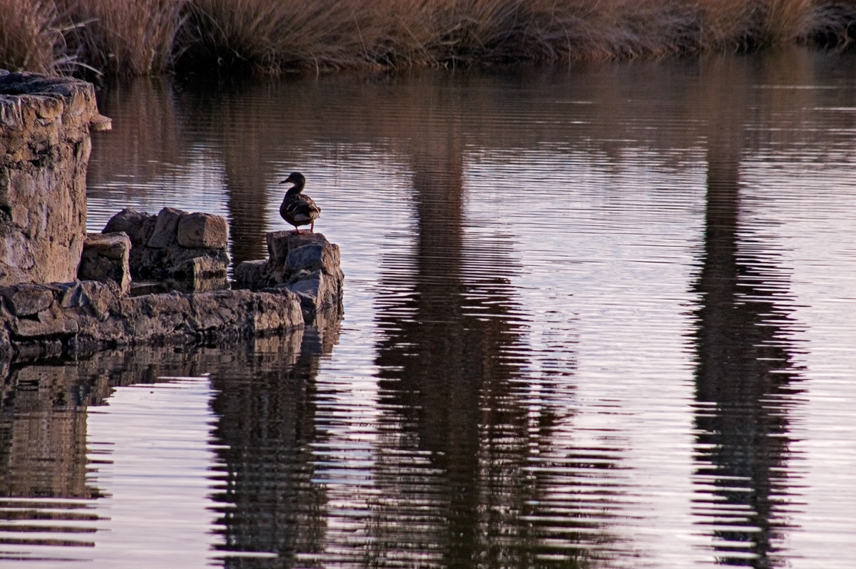 Zzyzx, California